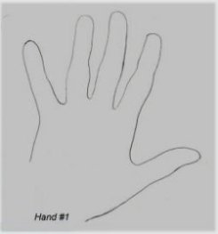 Hand Palm Outline